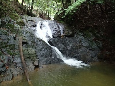 resizeP8140177.jpg (193.27 KiB) 閲覧された回数 4258 回 北畑川 一の滝