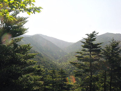 ● 池ノ谷、マッタリ歩くは良いだろう思う