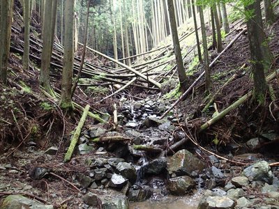 resizeP8220330.jpg (280.38 KiB) 閲覧された回数 3353 回 とてもじゃないけど突破しようとは思えない