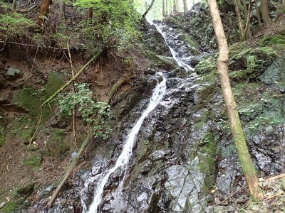 resizeP8220326.jpg (301.63 KiB) 閲覧された回数 3353 回 こんな滝が隠れていようとは