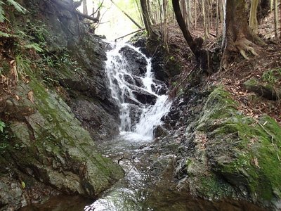 何だかこっちの方が楽しそう