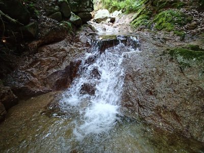 まあまあの小滝