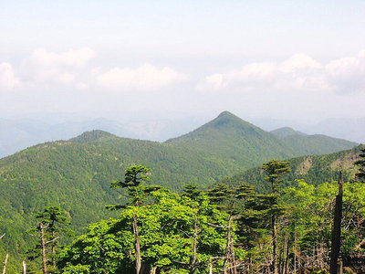 ● 振り返れば登ってきた尾根、ココのピークにかな？