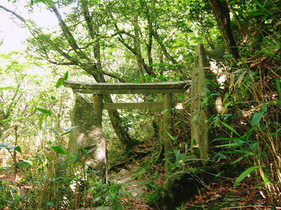 ● 六根清浄 ザンゲザンゲ、今日も無事に帰れたワン