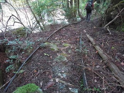 尾鷲古和谷林道から先のトロッコ道