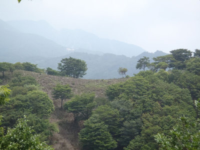 索道基地跡の遠望（金山西尾根から）