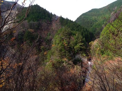 別スレッドの台高の話題だけど・・・。<br />木梶の白滝と架線場(植林の切れ間二次林）と女滝上の崩壊地の位置関係の画像です。