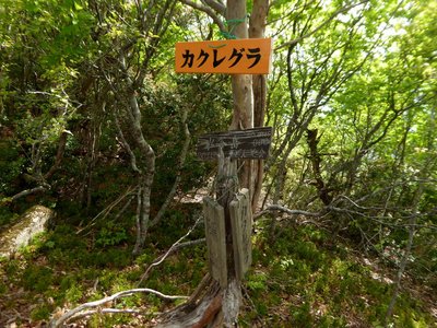 カクレグラには眺望はないが、山名プレートがある