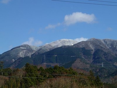 夏道から最後の石段まではっきり見えている