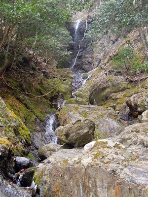 大内山川源流の枝谷・天保谷。