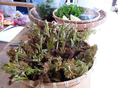 DSCN1483_800.jpg (178.95 KiB) 閲覧された回数 20008 回 昨年の食材の一部。<br />ちなみに、わたしは昨日タラの芽を採取して食しますた(^^)