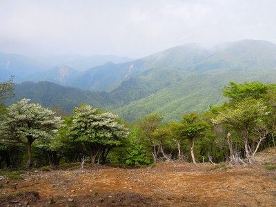 何年か前の御在所北西尾根オフ会付近の様子。