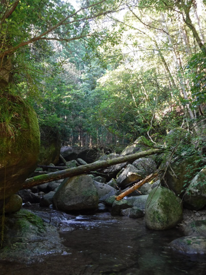 s_03.png (1.47 MiB) 閲覧された回数 10671 回 沢の入り口