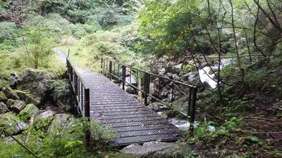 大又林道終点近くの橋