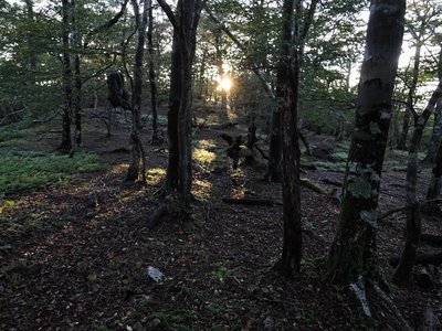 太陽ってホント素晴らしい。一番好きかも。ありがたやありがたや