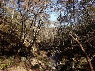 源頭部.jpg (540.35 KiB) 閲覧された回数 8088 回 源頭部