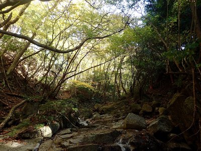 峠への道.jpg (484.34 KiB) 閲覧された回数 8088 回 峠への道