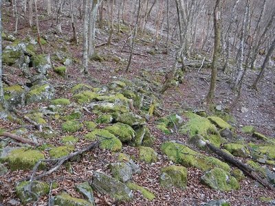 ダイラに残る石畳道