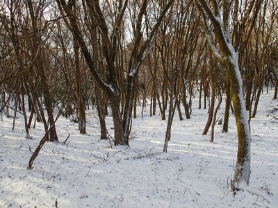 霊山にもこんな良いところが