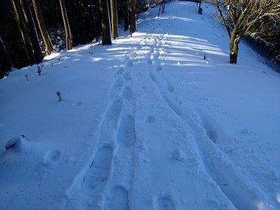 kijitoraさんのつぼ足トレースと、私のスノーシュー跡。