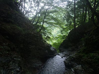 20110730-45.jpg