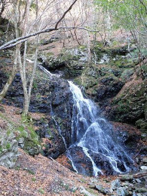 スダレ滝の上の滝…落ち口は見えない。