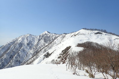 1120m下の大斜面。花房山頂が近い