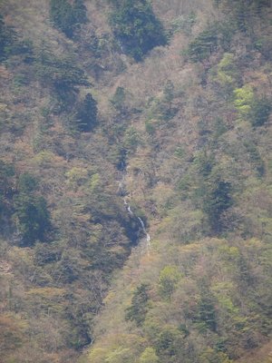 宮ノ谷右俣の大滝