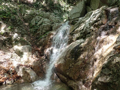 シャワーの滝だったかな？