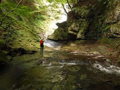 ナメから白滝鑑賞