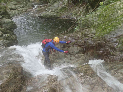 頑張るグーさん