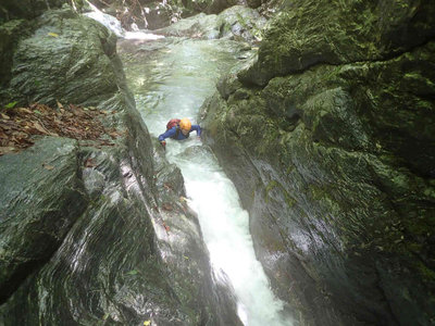 頑張るグーさん