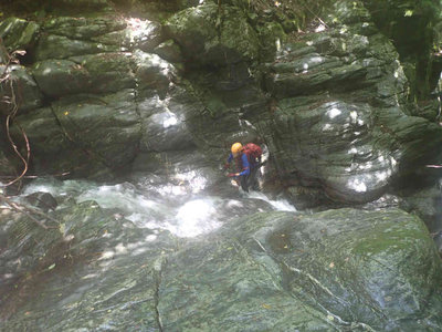 頑張るグーさん