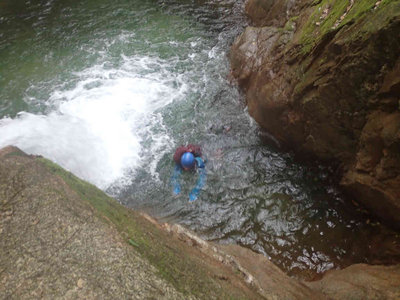 泳ぐわりばしさん