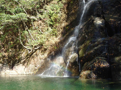 PB110208.jpg (111.83 KiB) 閲覧された回数 7953 回 比丘尼滝と虹