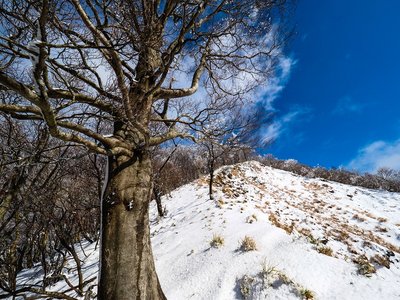 11/21　水無の稜線