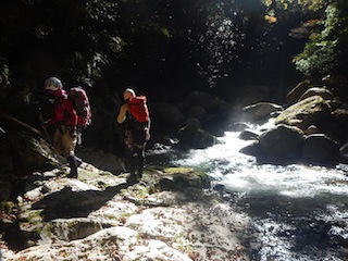 2017-11-12 10.40.23.jpg