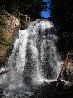 2017-11-12 12.32.59.jpg