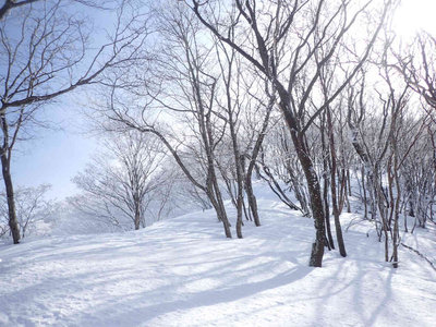P1310029.jpg (103.64 KiB) 閲覧された回数 8175 回 鞍掛尾根