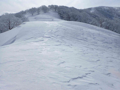 P1310088.jpg (48.73 KiB) 閲覧された回数 8174 回 風紋