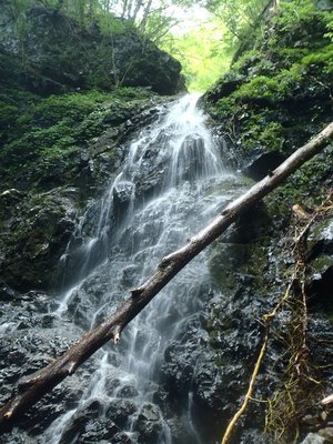 喜平小屋谷大滝下連瀑上段の滝（１０数ｍ）