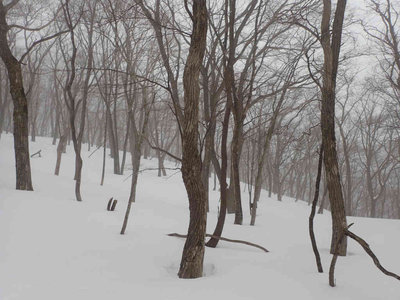 P2030007.jpg (75.15 KiB) 閲覧された回数 6656 回 カタクリ峠