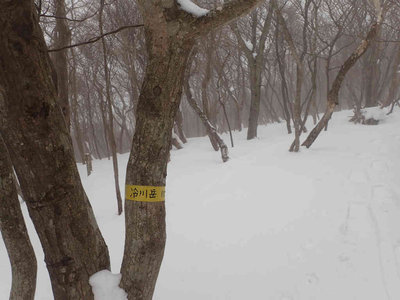 P2030017.jpg (56.26 KiB) 閲覧された回数 6658 回 冷川岳