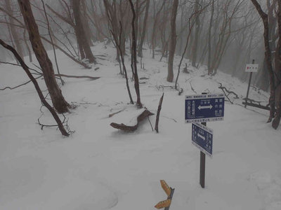 P2030020.jpg (43.46 KiB) 閲覧された回数 6656 回 白船峠