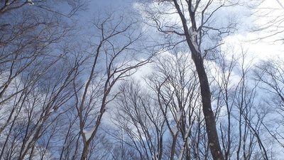 青空も顔を出し!(^^)!