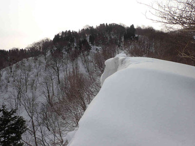 P2240021.jpg (65.34 KiB) 閲覧された回数 5650 回 痩せ尾根