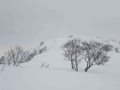 P2240053.jpg (38.81 KiB) 閲覧された回数 5650 回 頂上手前