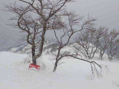 P2240064.jpg (69.91 KiB) 閲覧された回数 5650 回 頂上