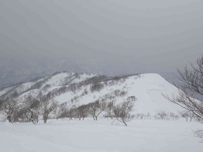 P2240065.jpg (40.29 KiB) 閲覧された回数 5650 回 頂上から北尾根を俯瞰