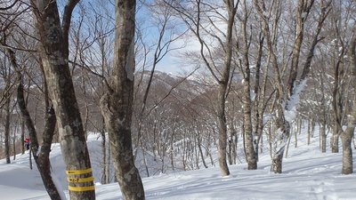 写真中央の白いピークが左千方です